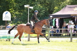 SBM_18334