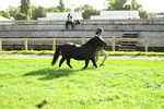 SBM_15889