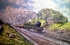 "Great Western"