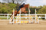 SBM_001877