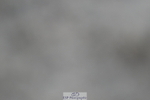240611A-194131-01432