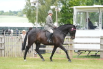 SBM_16153