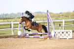 SBM_000149