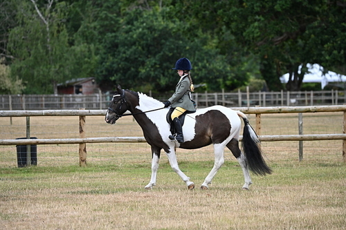 WJ6_3784