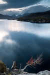 Holly Bush, Upper Lake and the Reeks, Killarney, Co Kerry