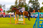 Eventing Horse_3331