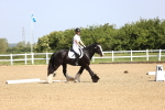 SBM_007828