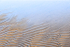 RIPPLES, BLUE AND GOLD - LONG POINT