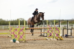 SBM_001641