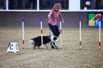 SBM_006504