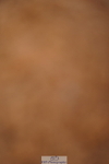 240526A-091438-07047