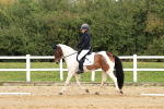 SBM_001584