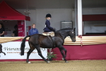 Class 101 Equitation (best rider), Junior portfolio
