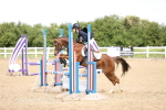 SBM_000979