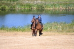 WJ6_8001