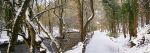 Leete Path loggerheads