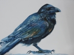 The Raven Vision SOLD