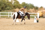 SBM_006766