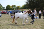 WJ6_6572