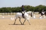 SBM_003443
