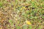 SBM_000521