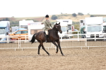 SBM_00635