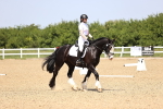 SBM_009034