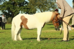 SBM_58575