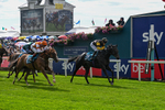060926-Race 2-Oriental Prince-7220