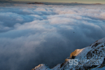 A ravens call, Cadair Idris