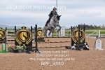 BPP_3440