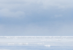 Freeze-up--Lake Erie