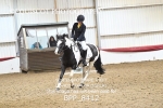 BPP_8412