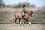 SBM_006043