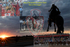 CFD Year of the Cowgirl Collage_16871