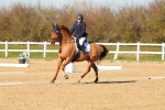 SBM_003492