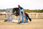 SBM_007609