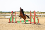 SBM_000824