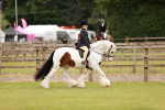 SBM_06233