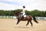 SBM_001355
