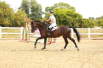SBM_002320