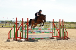 SBM_007036