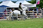SBM_17493