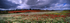 A Splash of Rain a Splash of Colour, Levening