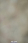 230708A-121357-01300