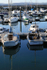 Torquay Harbour boats  _DEV008