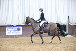 Class 14 - Blue Chip Pro Junior Sparkle JC- JA Championship Qualifier portfolio