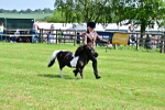 SBM_03500