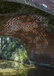 Reflected Ripples Under Bridge 65