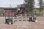 BPP_5006